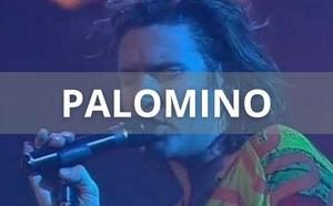 PALOMINO: una gemma nascosta sussurrata al nostro cuore (ep. 8) — foto anni 80 e 90